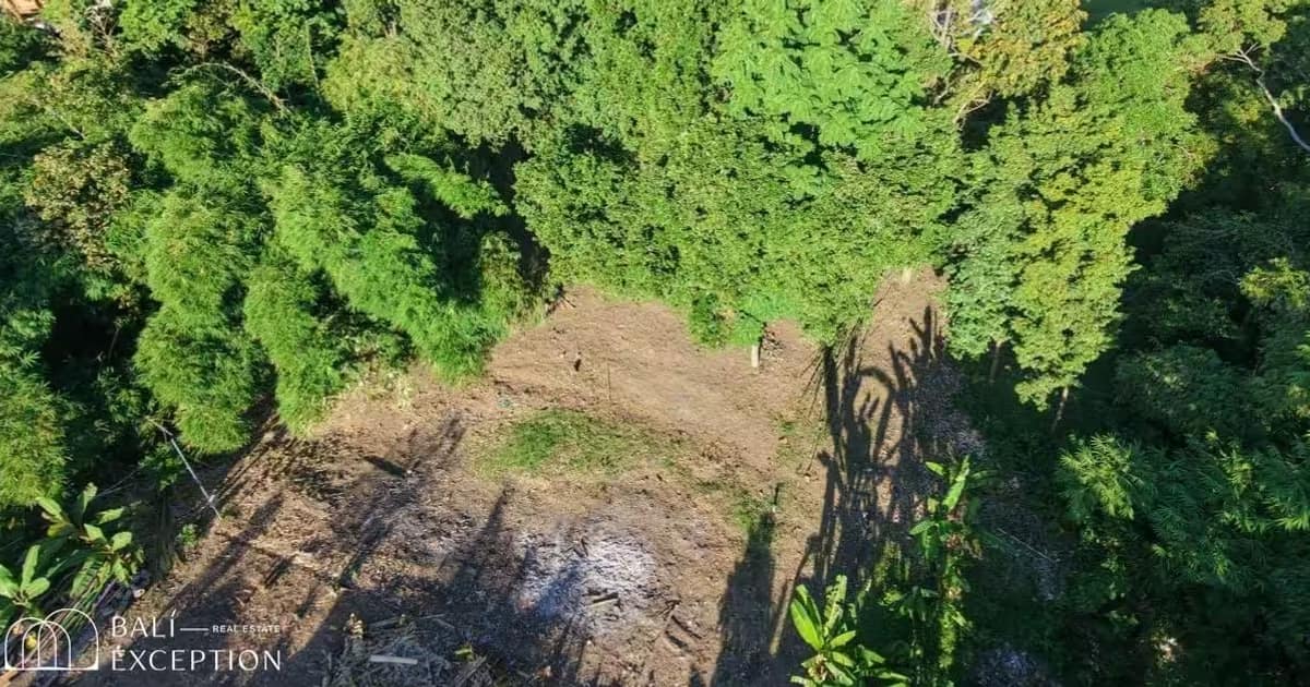 Photo of Land 9,5 Are for Sale Leasehold in North Canggu in Canggu