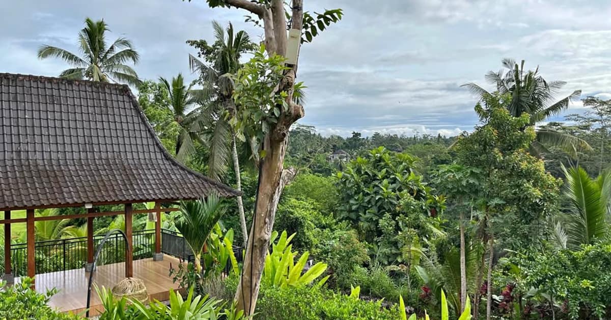 Photo of 1BR House in Tegallalang