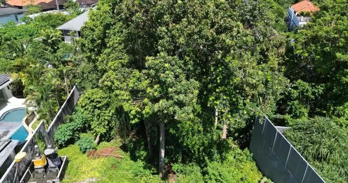 Photo of Land 6,4 Are Leasehold for Sale in Umalas in Umalas