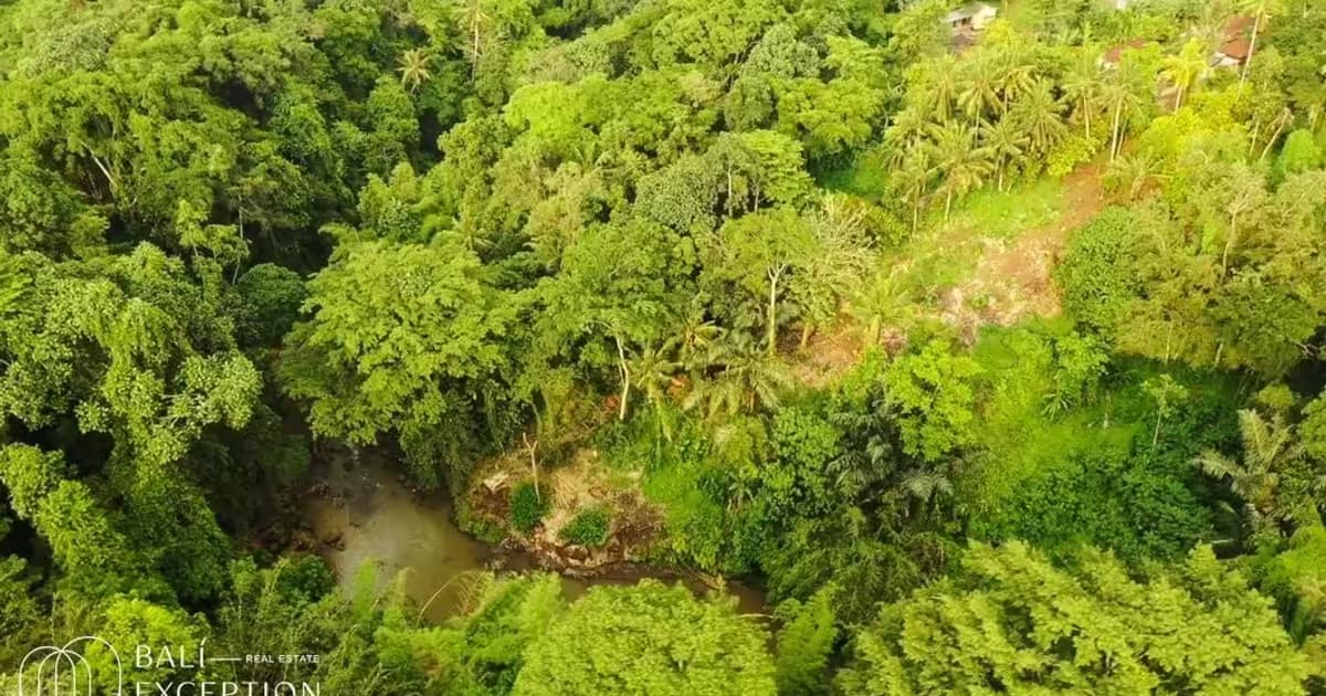 Photo of Jungle and River View Land 22 Are for Sale Leasehold in Tabanan in Tabanan