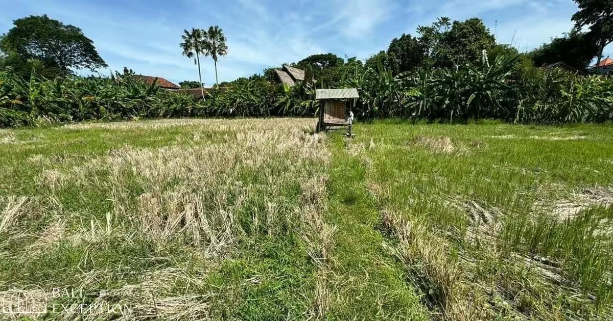 Photo of Land 12,91 Are for Sale Leasehold in Kerobokan in Kerobokan