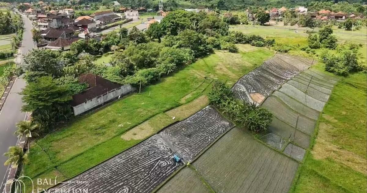 Photo of Land 49 Are for Sale Leasehold in Beraban in Tabanan