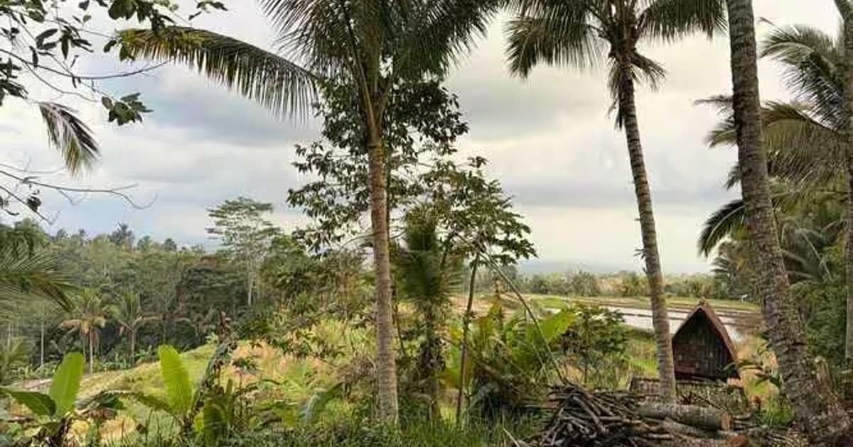 Photo of Unesco Rice Terrace View 2900sqm Land for Sale Jatiluwih in Tabanan