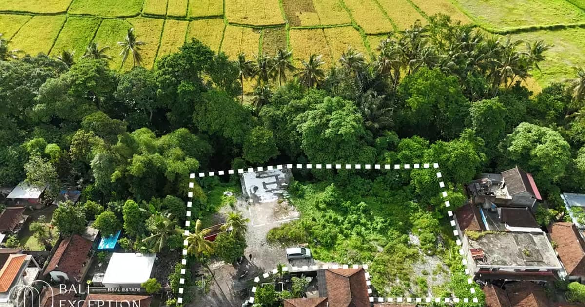 Photo of Land 12,6 Are for Sale Leasehold in Sukawati Gianyar in Ubud