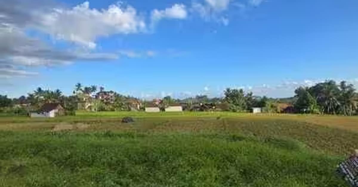 Photo of Land 13,26 Are Leasehold for Sale in Ubud Area in Ubud